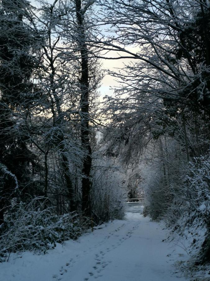 Kaban' Des Neiges Appartement Saint-Gervais-les-Bains Buitenkant foto