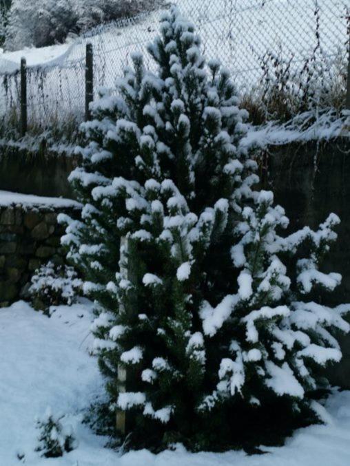 Kaban' Des Neiges Appartement Saint-Gervais-les-Bains Buitenkant foto